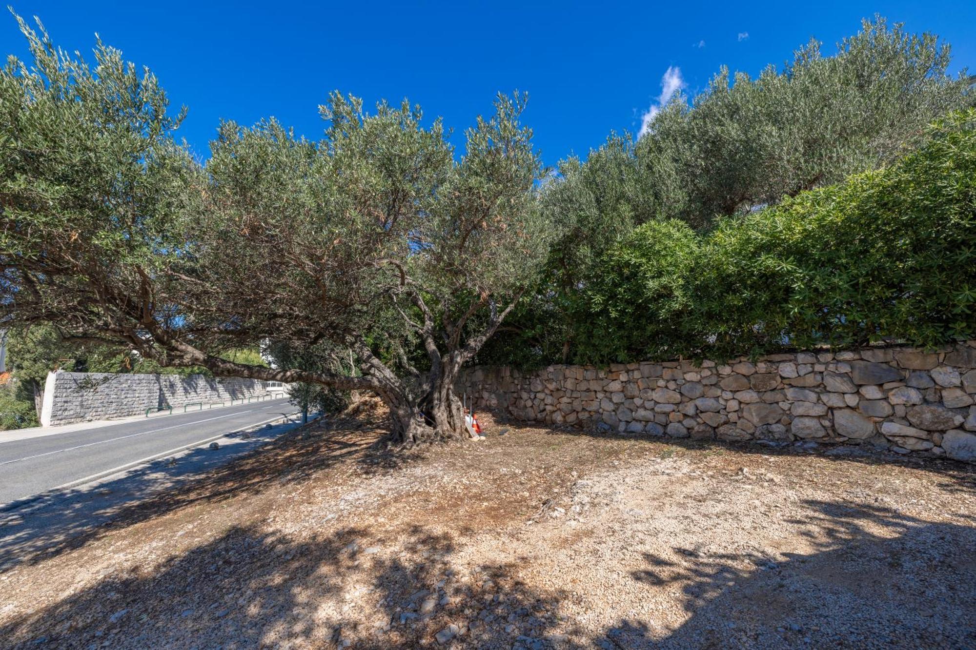 Apartmani Marta Tučepi Buitenkant foto