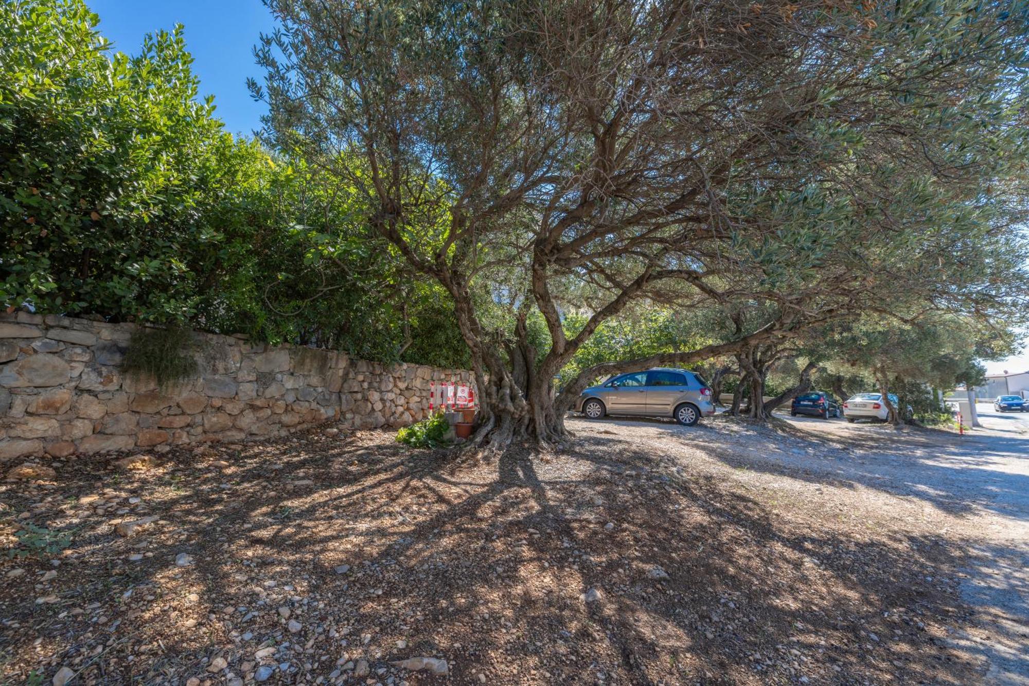 Apartmani Marta Tučepi Buitenkant foto